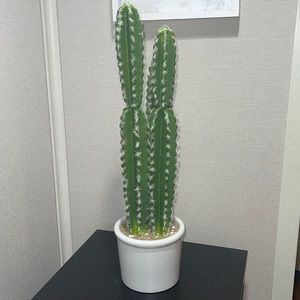 Faux Cactus